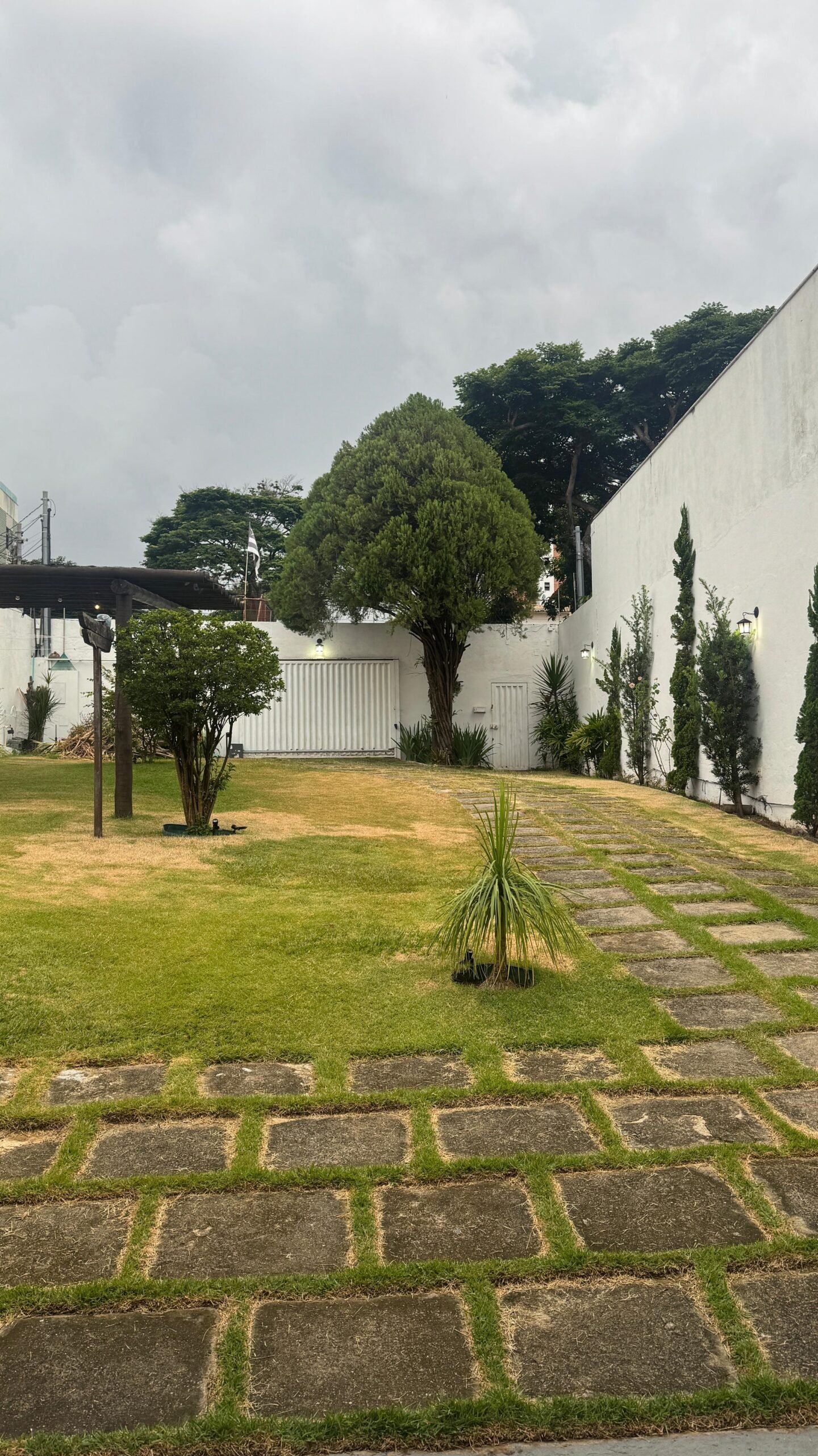 WhatsApp Image 2025-03-19 at 14.22.09